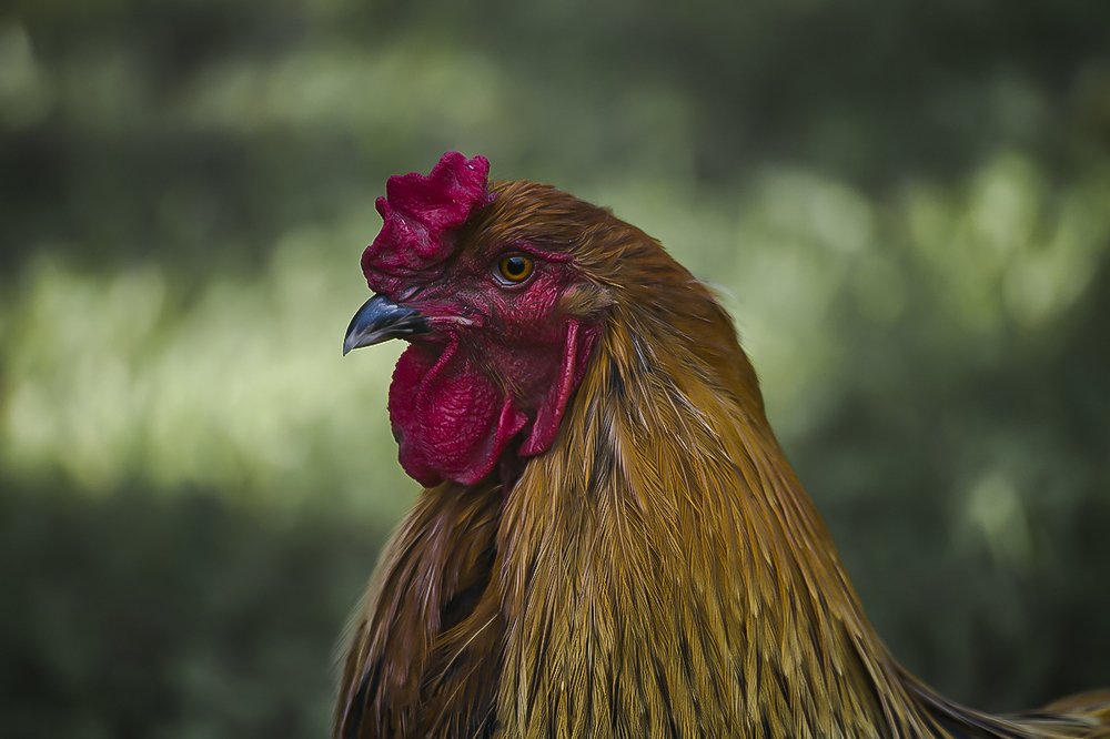 Photograph by Евгений Барзенков