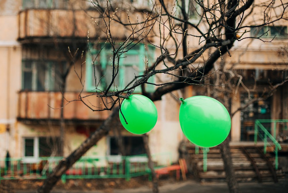 Photograph by Евгения Пирогова