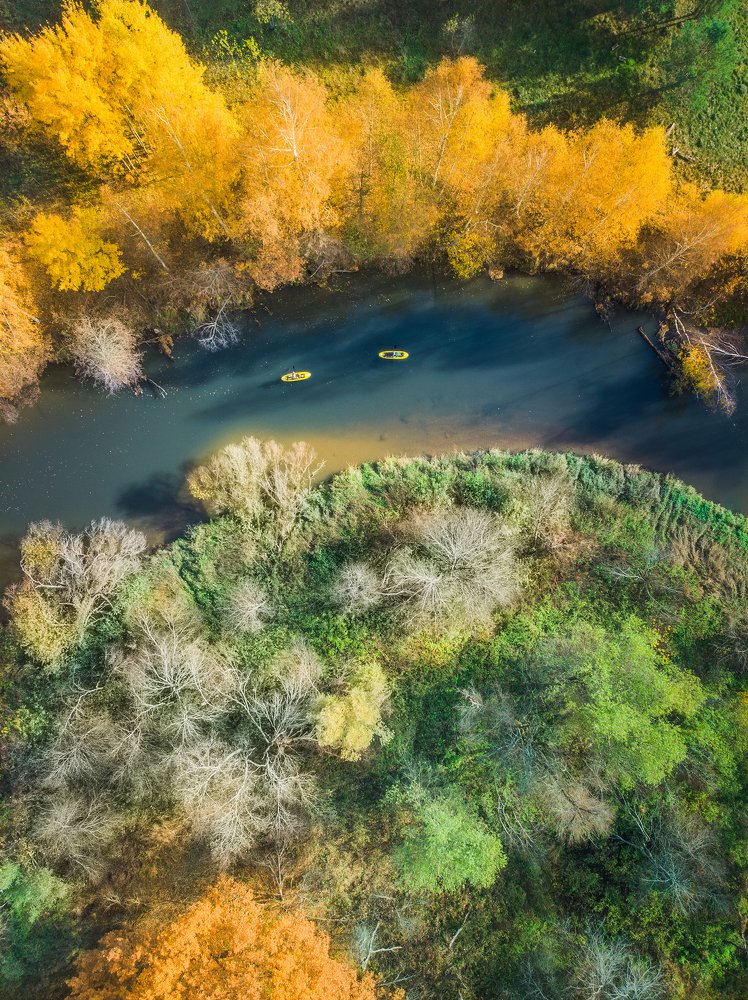 Autumn in the suburbs.