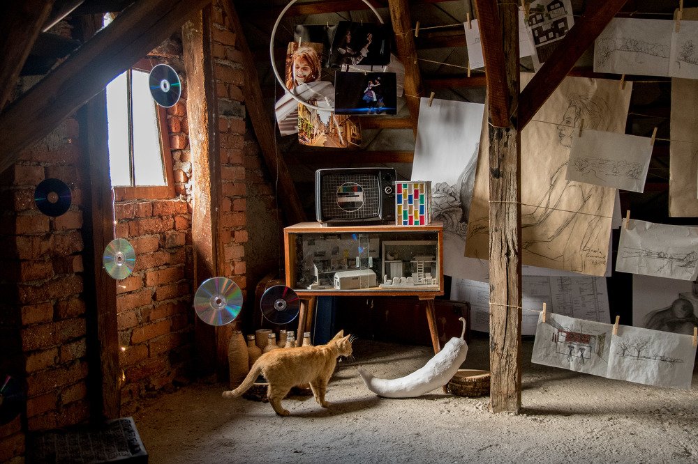 Photograph by Petra Bajusova