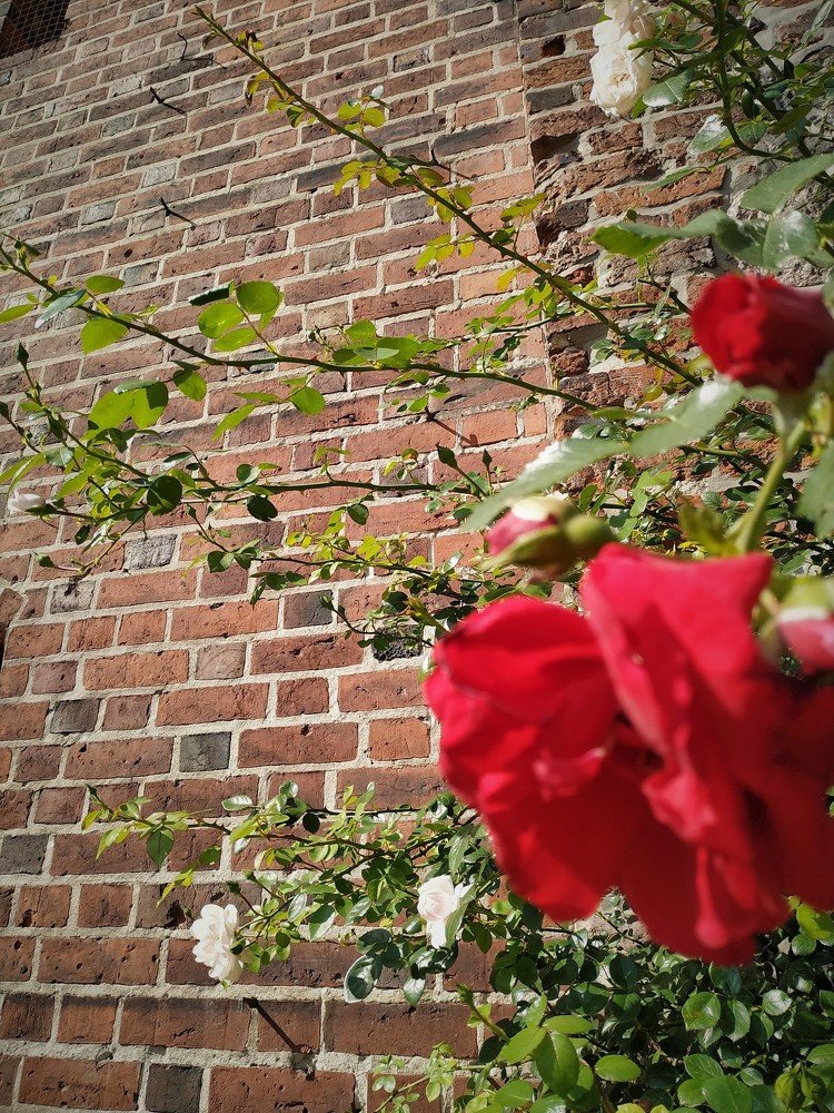 У стен замка