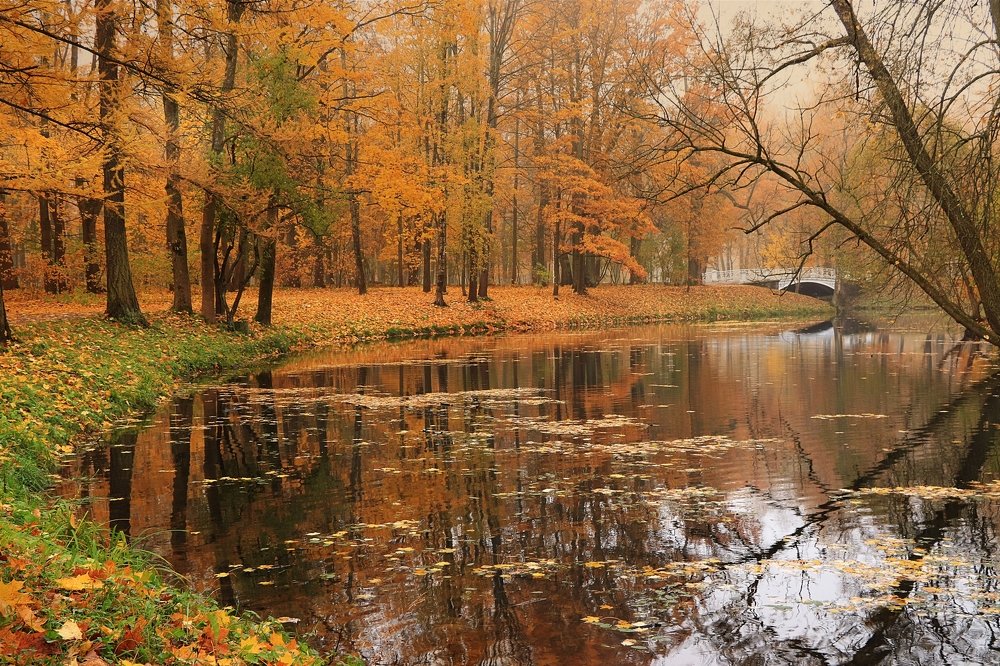 Фотография автора Светлана Балынь