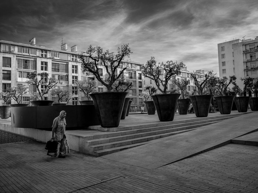 Photograph by pouyan safavi