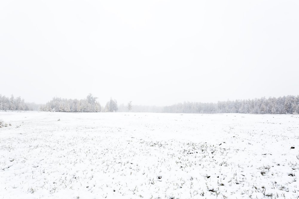 Первый снегопад.