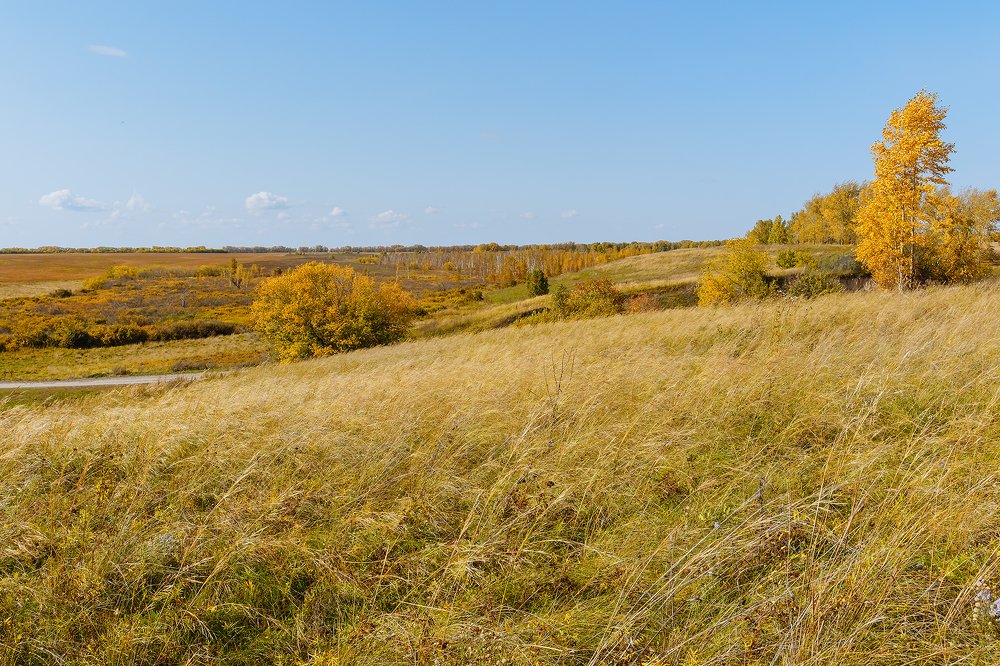 Осенняя лесостепь.