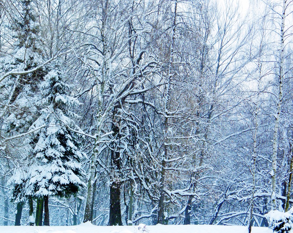 Photograph by Dariusz Gruszka