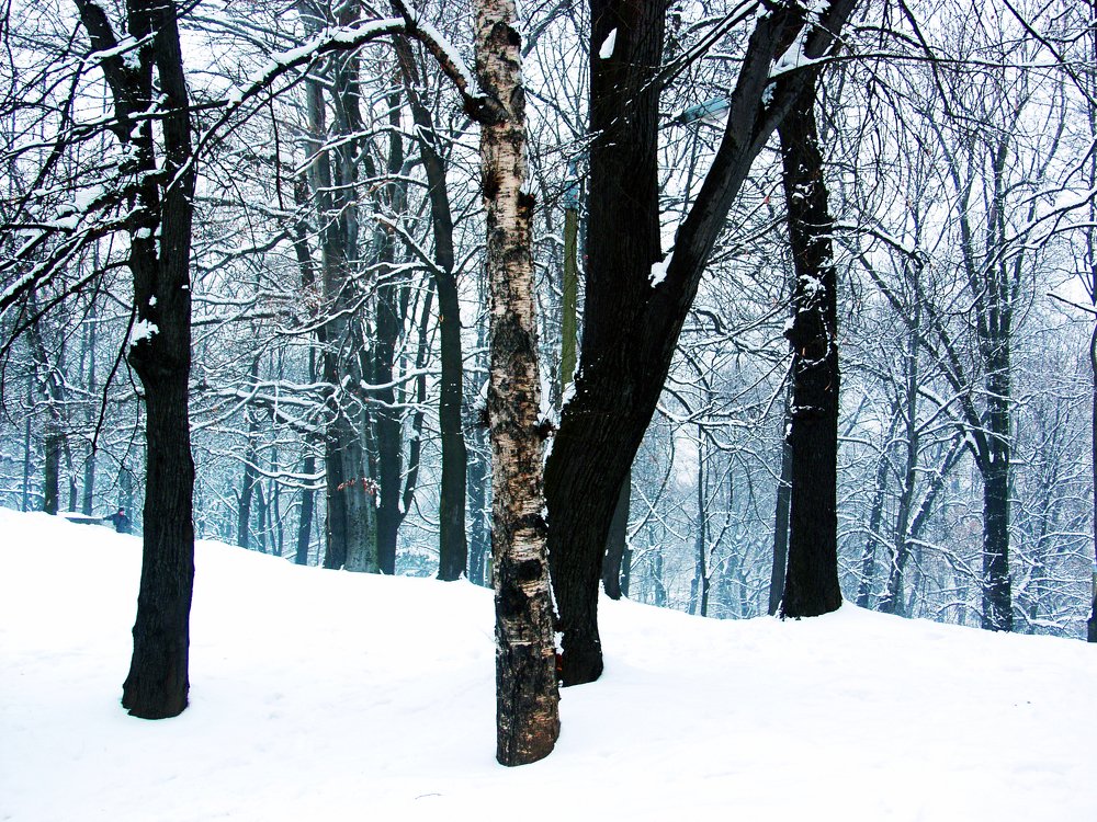 Photograph by Dariusz Gruszka