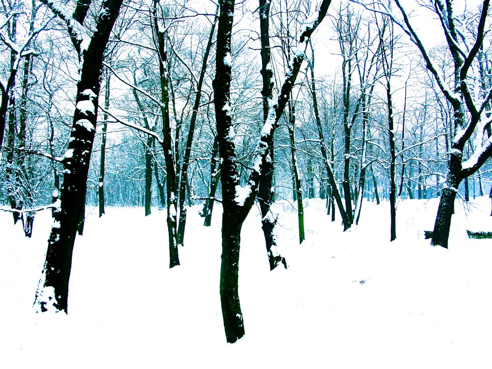 Photograph by Dariusz Gruszka