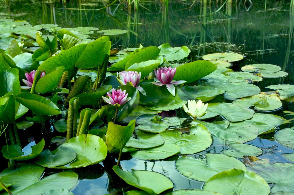 Photograph by Dariusz Gruszka