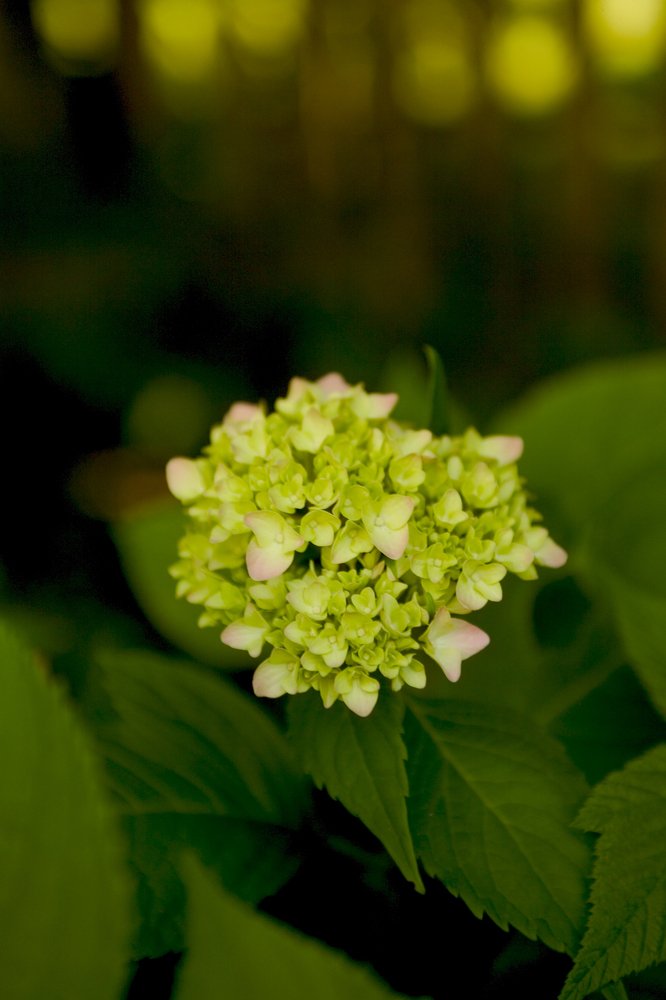 Photograph by Dariusz Gruszka