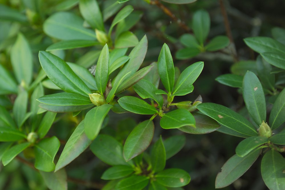 Photograph by Dariusz Gruszka