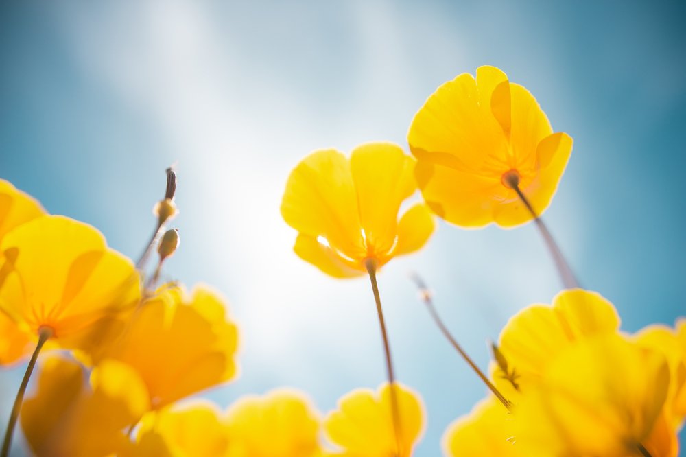 Photograph by Gulnaz Sabirova