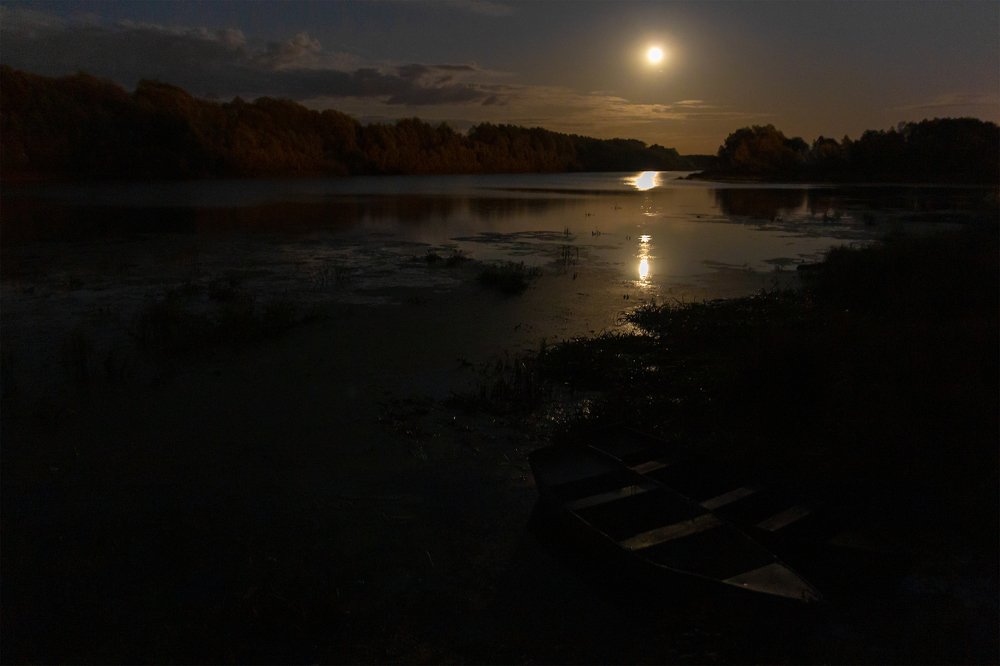 Photograph by Дмитрий Чудинин