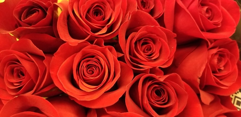 Королевы цветов.