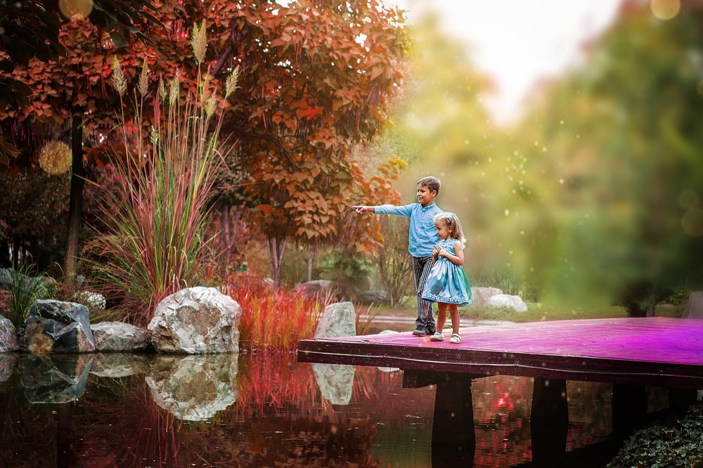 Японский сад