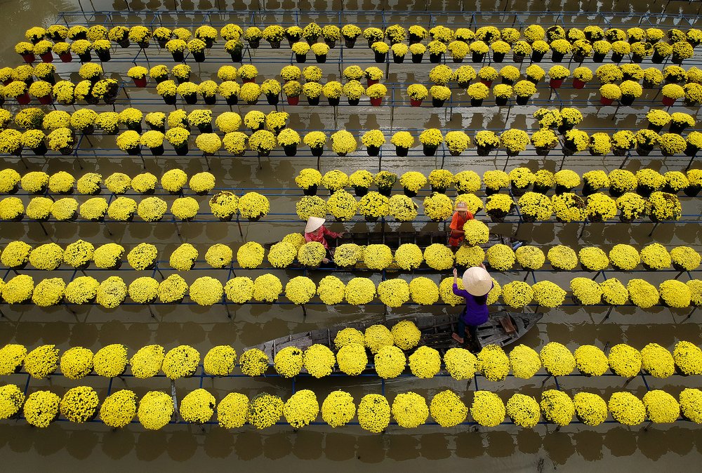 Photograph by Mai Duong