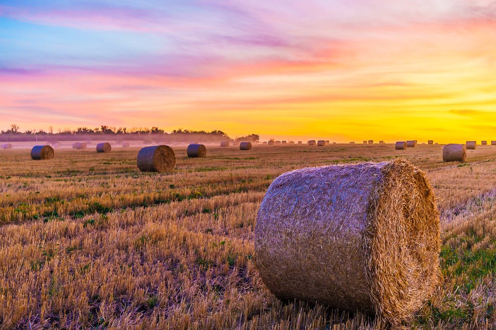 Вечерняя заря.