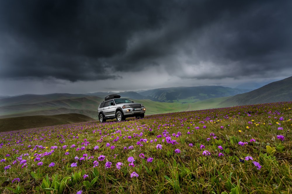 перед грозой