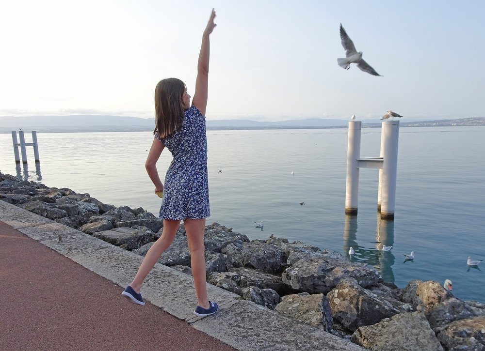 the child and the seagulls