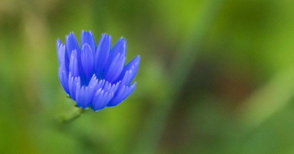 Photograph by Alex Kalpus