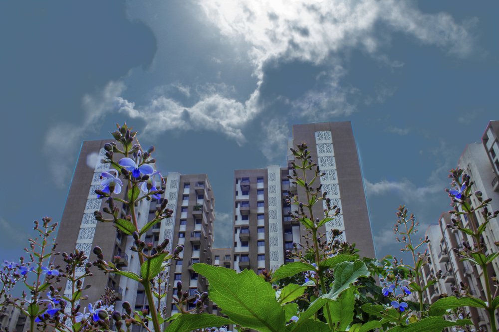 Photograph by Shwetagupta