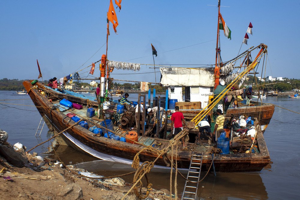 Photograph by Shwetagupta