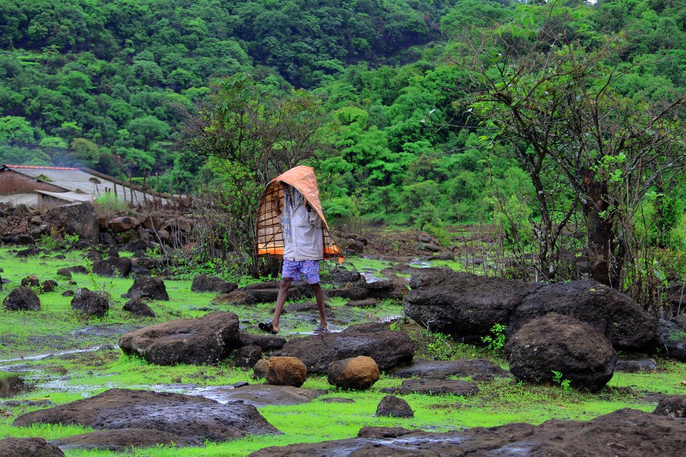 Photograph by Shwetagupta