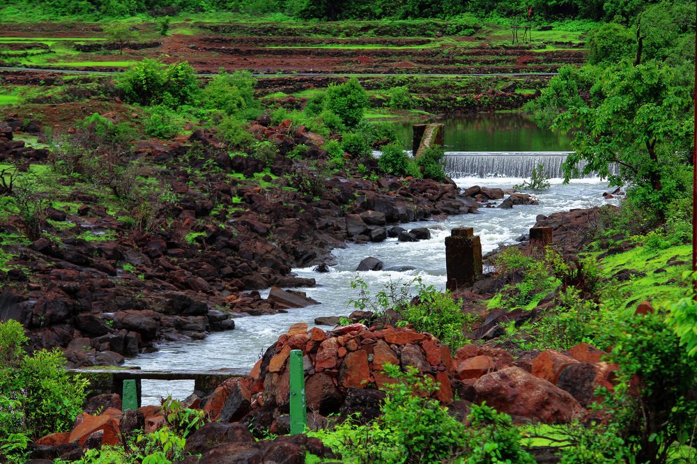 Photograph by Shwetagupta