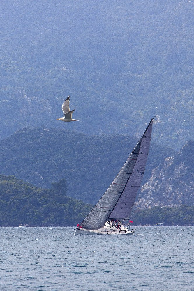 Photograph by Ольга Эркызан