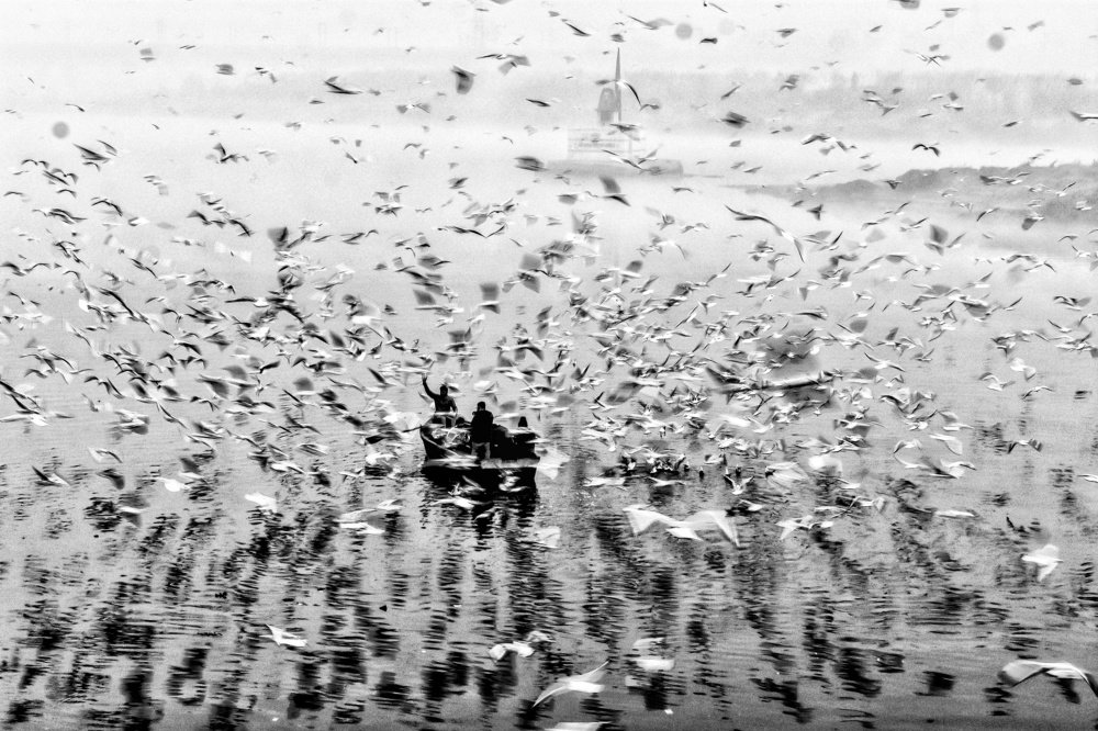 Photograph by Somesh Chaurasiya