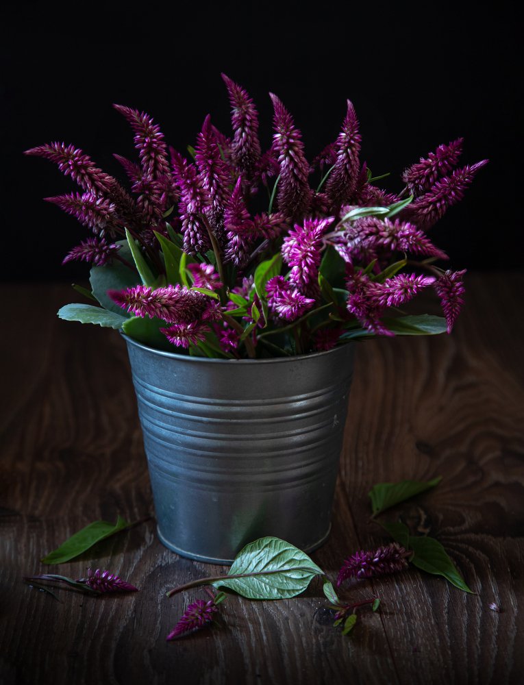 Photograph by Olga Mukasheva