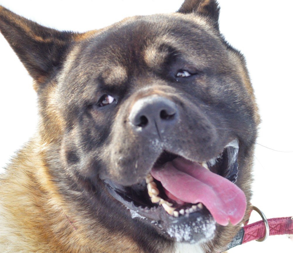 Photograph by Игорь Медянцев