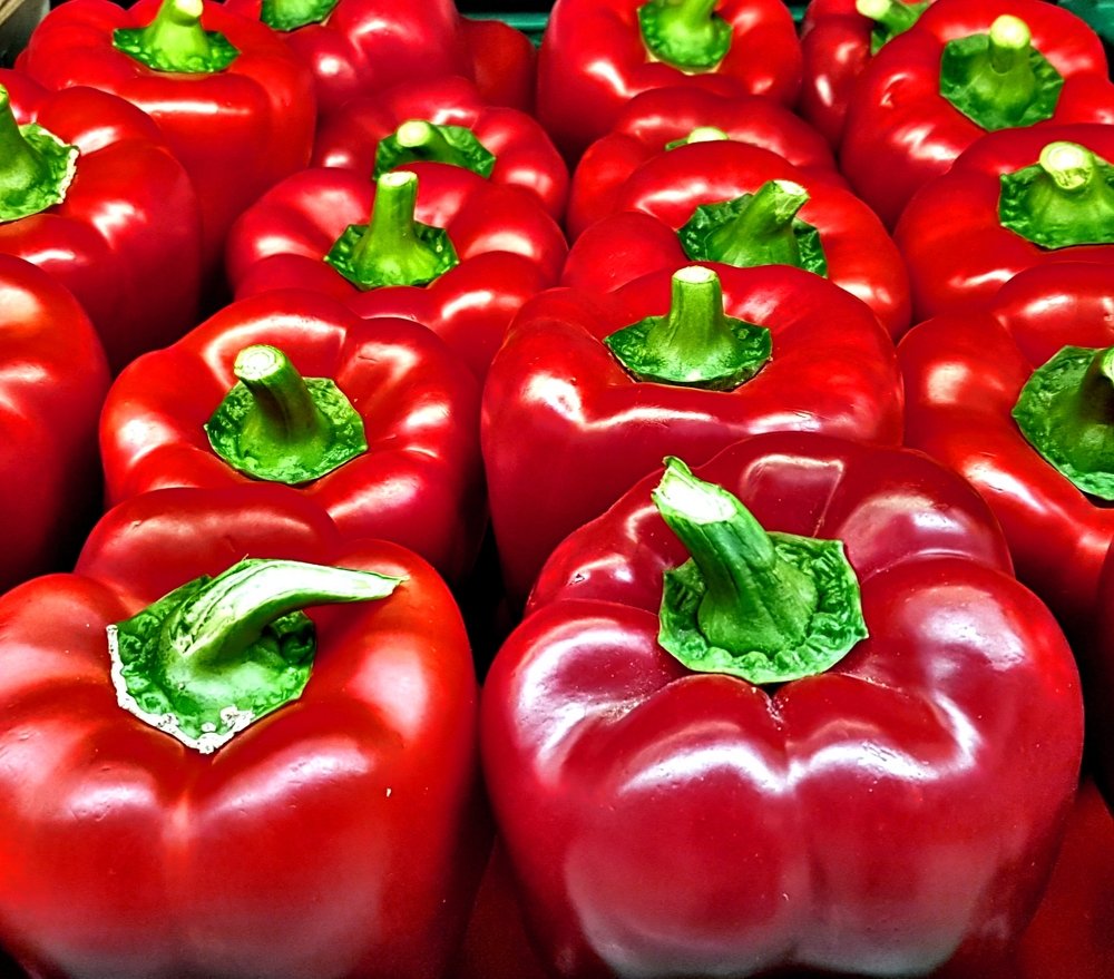 Photograph by Mojca Rebol