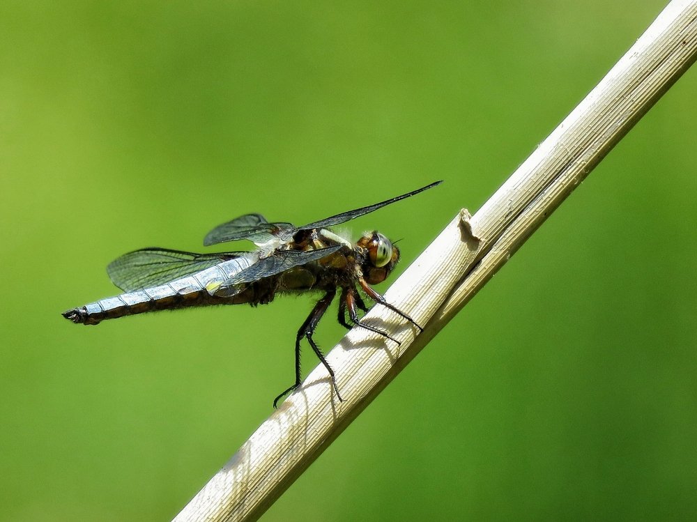 Photograph by Bahrami Ashkan