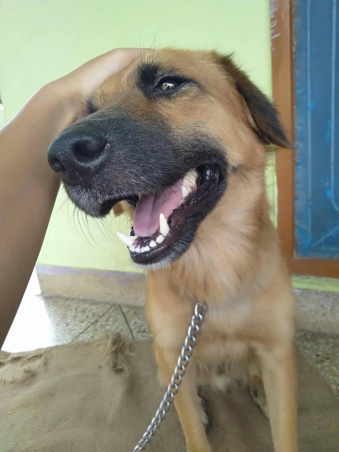 Photo #3625305