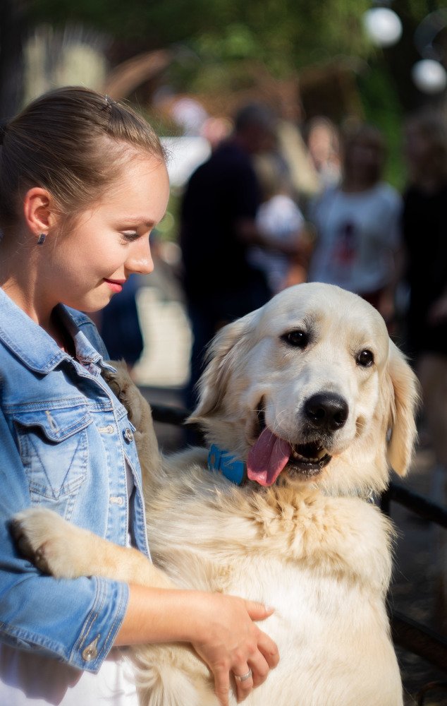 Happy dog in the hands of the owner.