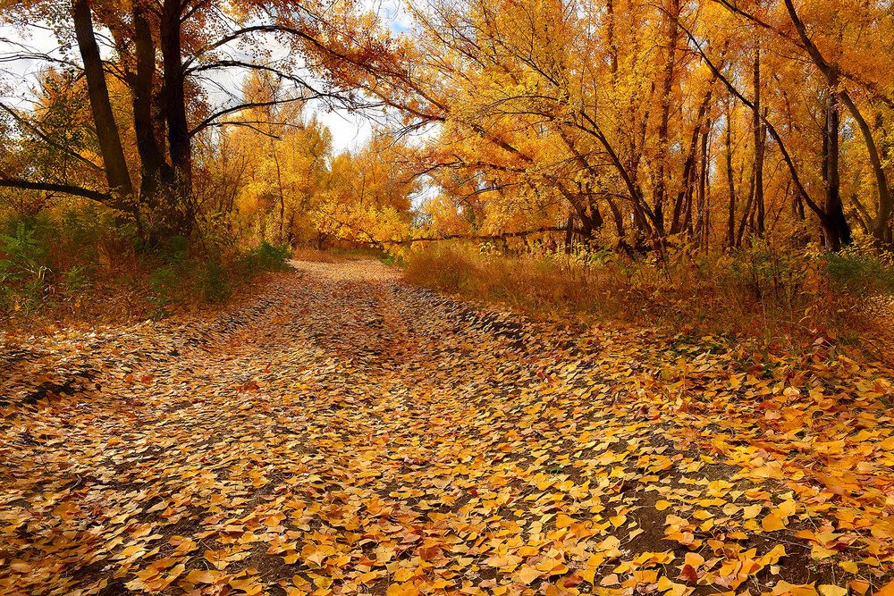 Photograph by Орлов Михаил