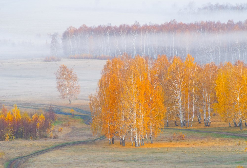 Photograph by Орлов Михаил