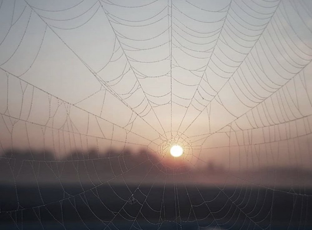 Photograph by Giorgi Kekelidze