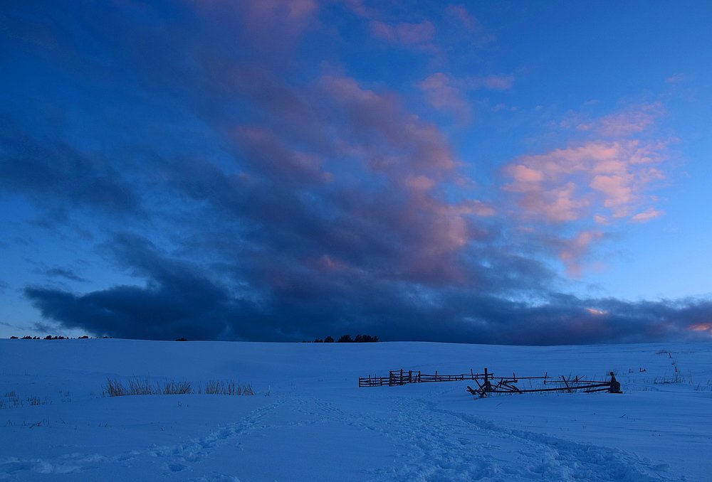 Photograph by Margo Margo