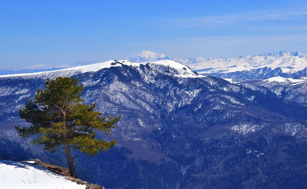 Photograph by Margo Margo