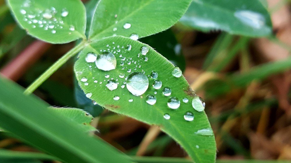 Никто не идеален