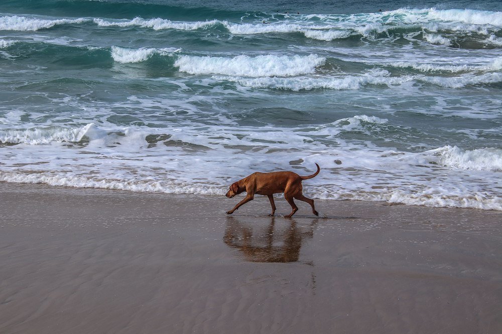 Photograph by Galina Rashap