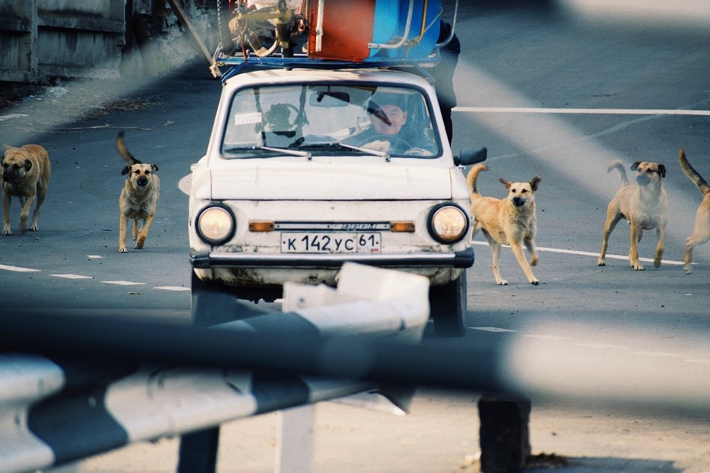 Photograph by Лилия Чебунина