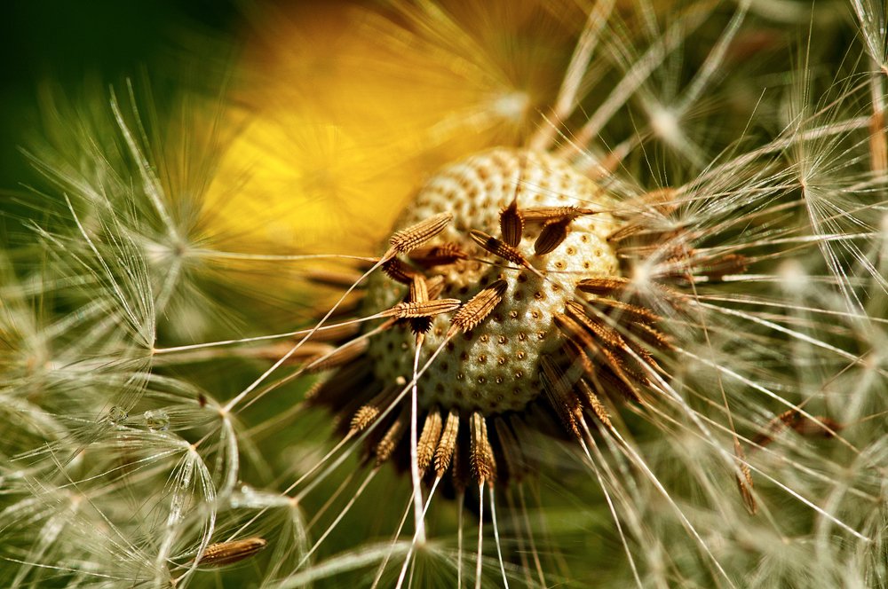 Photograph by Александр Демин