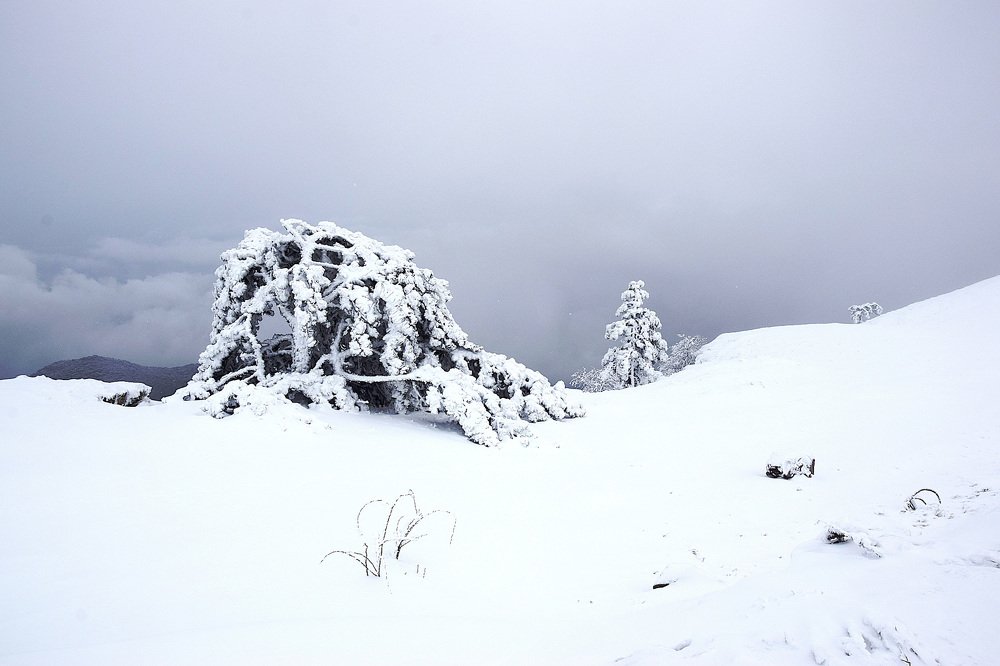 Photograph by Margo Margo