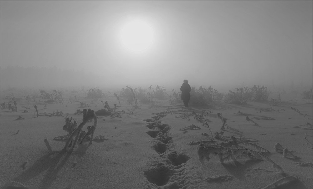 ПО ДОРОГЕ К СОЛНЦУ !