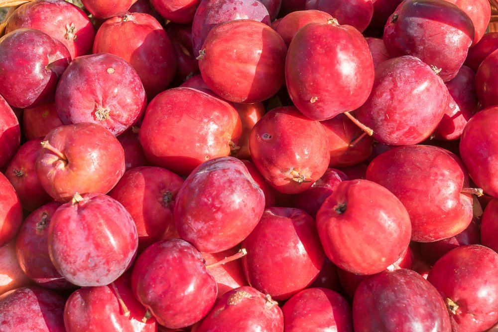 Райские яблочки.