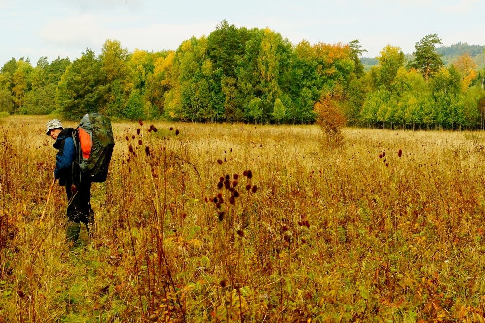 Photograph by Игорь Кравцов