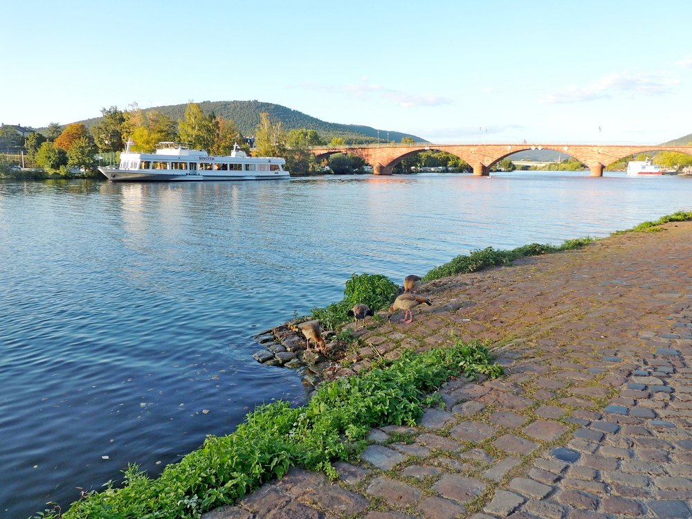 Мильтенберг. Майнский мост.